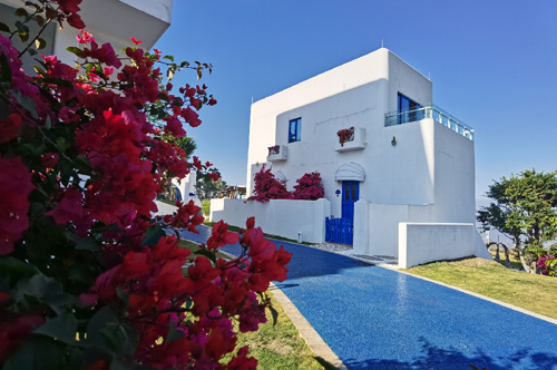 f3be6d7df4e1f2d61cfc2a186a039a37.jpg f3be6d7df4e1f2d61cfc2a186a039a37.jpg