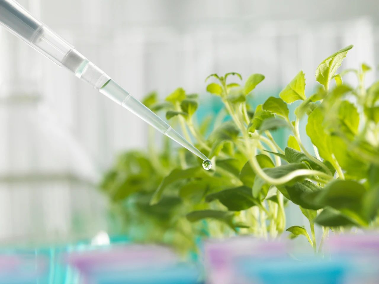 微信圖片_20230626164142.jpg 微信圖片_20230626164142.jpg